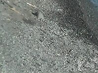 Nu1513#Nude couple hugging and kissing. Nudists like to show something that is usually taken