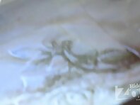 Up1663#A girl in a white short dress. Beautiful round ass and hairy crotch in white panties.