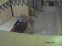 Pv28739#Uploaded Video