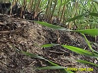 Sp1054#Spy cam video