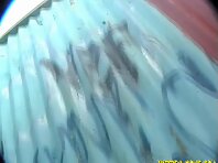 Bc514#Hidden camera in the beach cabin