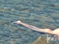 Nu1645#Voyeur video from nude beach