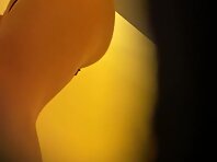 Pv29436#Uploaded Video