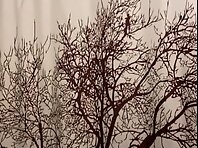 Pv28553#Uploaded Video