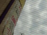 Bc653#Hidden camera in the beach cabin