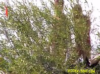 Nu1031#Tanned girl walking on a nudist beach