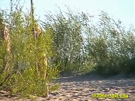 Nu1158#Looks like I'm getting naked volleyball fan. This is the best sport!